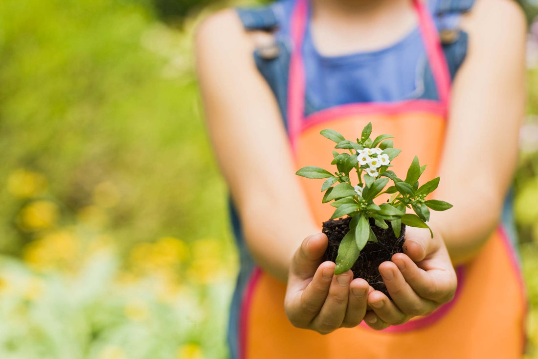 ADHD in kids and gardening.