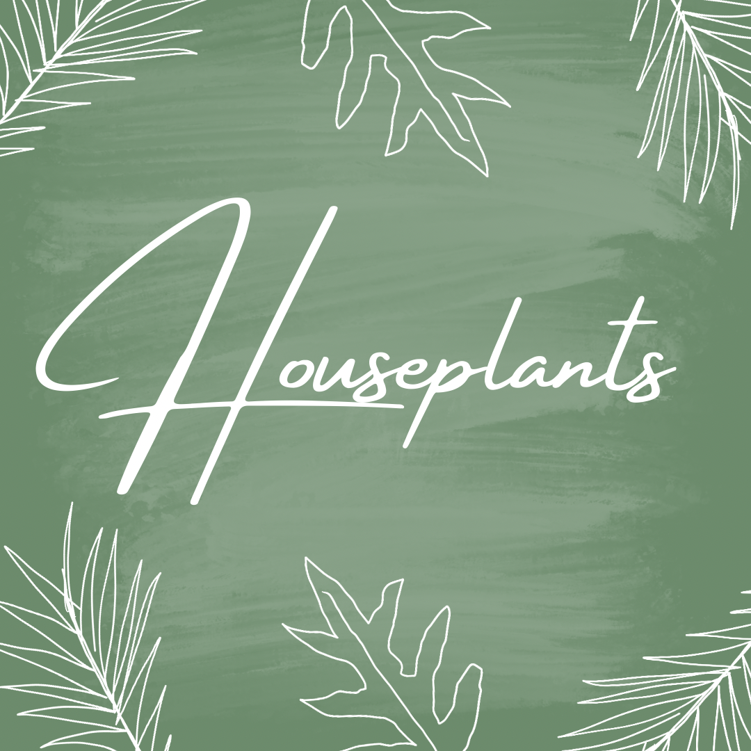 Houseplants